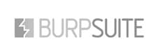 burpsuite